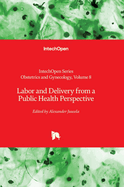 Labor and Delivery from a Public Health Perspective