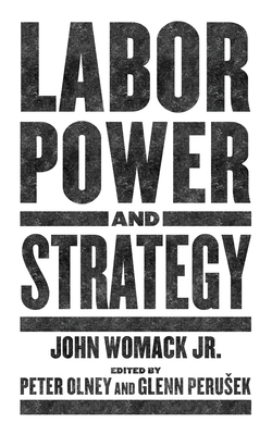 Labor Power and Strategy - Olney, Peter (Editor), and Perusek, Glenn (Editor)