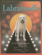 Labradoodle