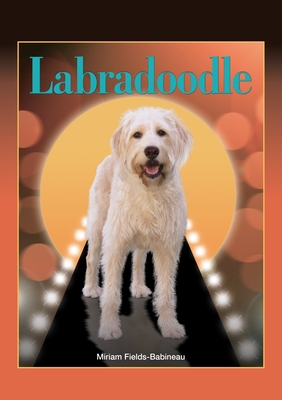 Labradoodle - Fields-Babineau, Miriam