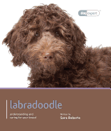 Labradoodle