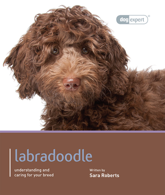 Labradoodle - Roberts, Sara