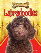 Labradoodles