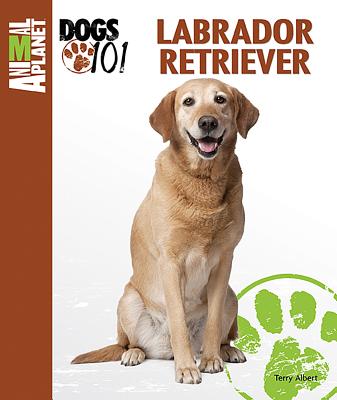Labrador Retriever - Albert, Terry