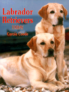 Labrador Retrievers Today