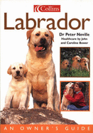 Labrador - Neville, Peter R., Mr.