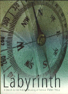 Labyrinth: A Search for the Hidden Meaning of Science