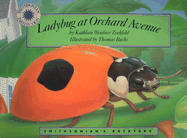 Ladybug at Orchard Avenue