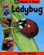 Ladybug - Watts, Barrie