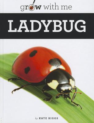 Ladybug - Riggs, Kate