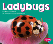 Ladybugs