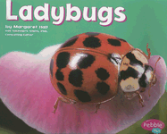Ladybugs