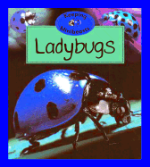 Ladybugs - Watts, Barrie (Text by)
