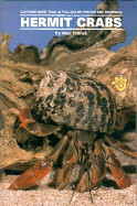 Land Hermit Crabs