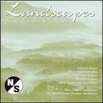 Landscapes for Chamber Orchestra