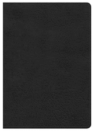 Large Print Compact Bible-Hcsb