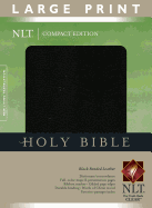 Large Print Compact Bible-NLT