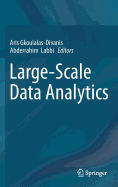 Large-Scale Data Analytics