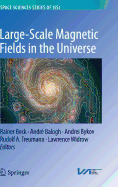Large-Scale Magnetic Fields in the Universe