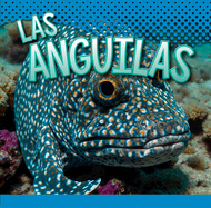 Las Anguilas