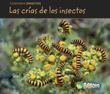 Las Cr?as de Los Insectos (Bug Babies)