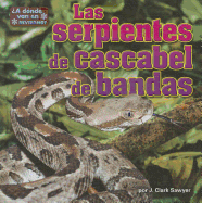 Las Serpientes de Cascabel de Bandas (Timber Rattlesnakes)