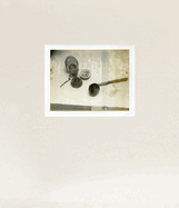 Laura Letinsky: Time's Assignation: The Polaroids
