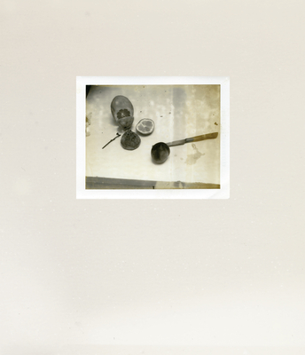 Laura Letinsky: Time's Assignation: The Polaroids - Letinsky, Laura (Photographer), and Herschdorfer, Nathalie (Text by)