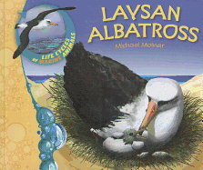 Laysan Albatross