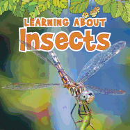 Learning about Insects