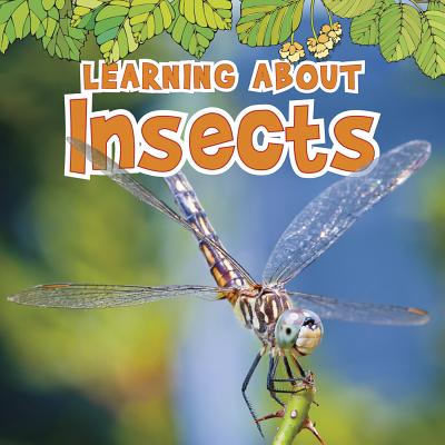Learning about Insects - Veitch, Catherine