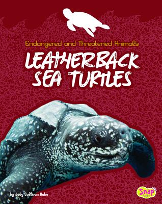 Leatherback Sea Turtles - Sullivan Rake, Jody