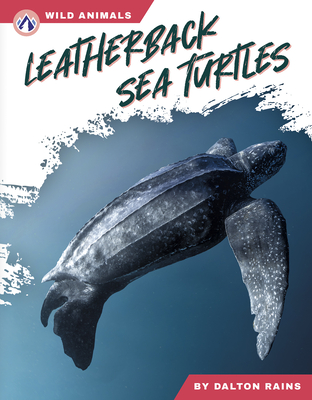 Leatherback Sea Turtles - Rains, Dalton