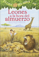 Leones a la Hora del Almuerzo / Lions at Lunchtime