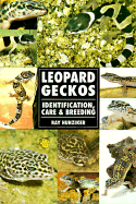 Leopard Geckos the Real Thing