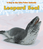 Leopard Seal