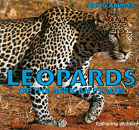 Leopards of the African Plains