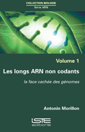 Les longs ARN non codants: La face cach?e des g?nomes