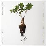 Let the Soil Play Its Simple Part