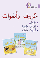 Letters and Sounds Big Book: Level 1 (Kg)
