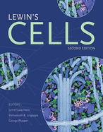 Lewin's Cells: .