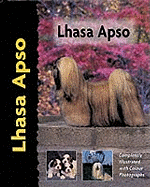 Lhasa Apso
