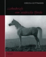 Liebesbriefe Um Arabische Pferde