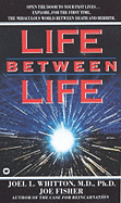 Life Between Life