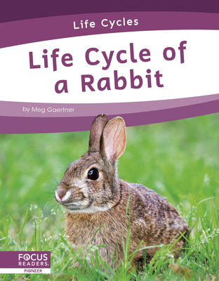 Life Cycle of a Rabbit - Gaertner, Meg