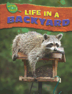 Life in a Backyard