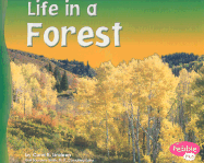 Life in a Forest