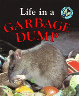 Life in a Garbage Dump
