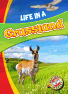 Life in a Grassland