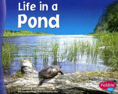 Life in a Pond